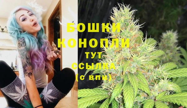 spice Ступино
