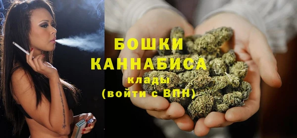 шишки Струнино